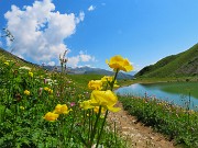 44 Distese di fiori dai fianchi della montagna alle rive del lago
